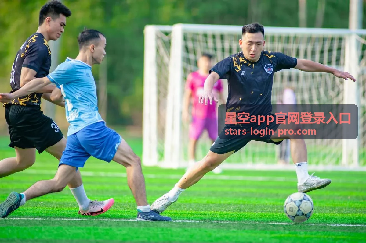 星空app官网登录入口金融行业案例